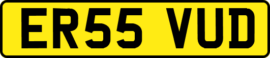 ER55VUD
