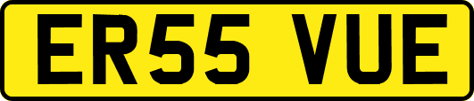 ER55VUE