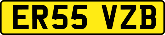 ER55VZB