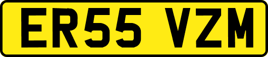 ER55VZM