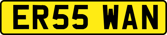 ER55WAN