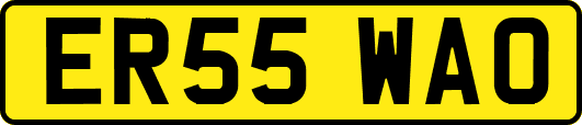 ER55WAO
