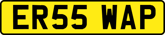 ER55WAP