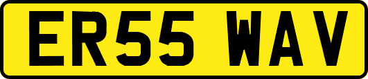 ER55WAV