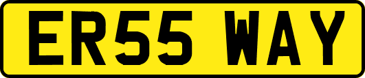ER55WAY