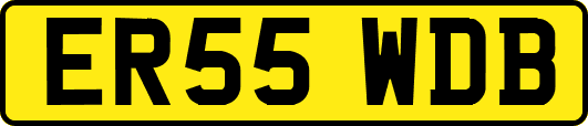 ER55WDB