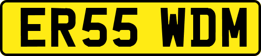 ER55WDM