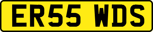 ER55WDS