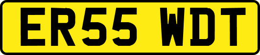 ER55WDT