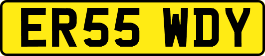 ER55WDY