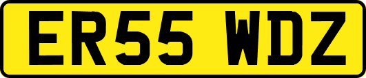 ER55WDZ