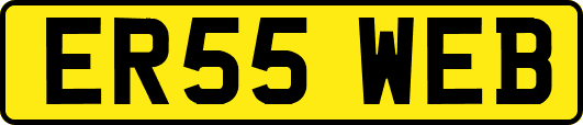 ER55WEB