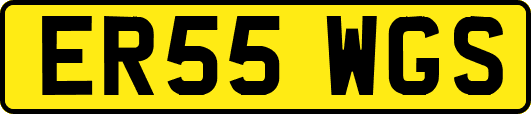 ER55WGS