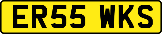 ER55WKS