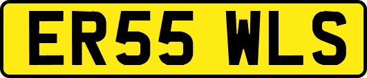 ER55WLS