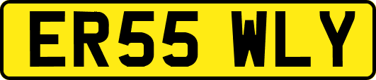 ER55WLY