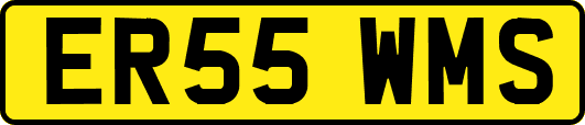 ER55WMS