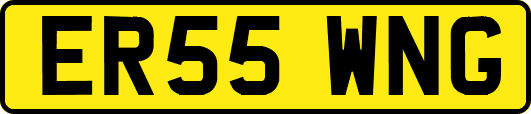 ER55WNG