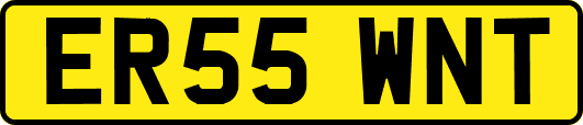 ER55WNT