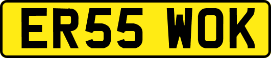 ER55WOK