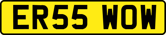 ER55WOW