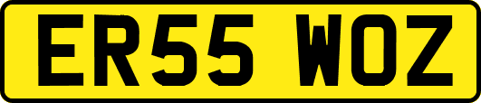 ER55WOZ
