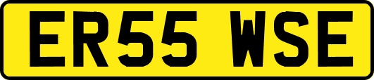 ER55WSE