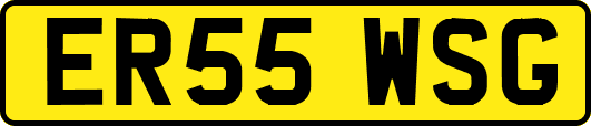 ER55WSG