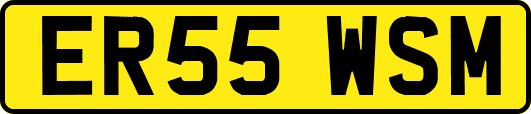 ER55WSM