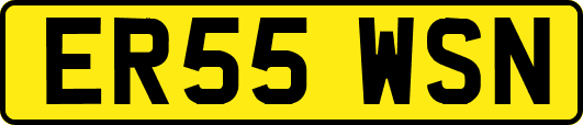 ER55WSN