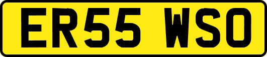 ER55WSO