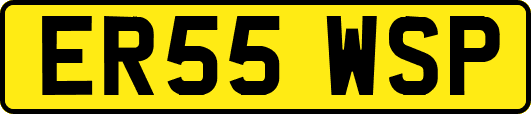 ER55WSP