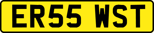 ER55WST