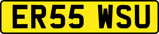 ER55WSU