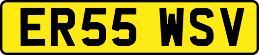 ER55WSV
