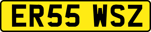 ER55WSZ