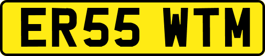 ER55WTM