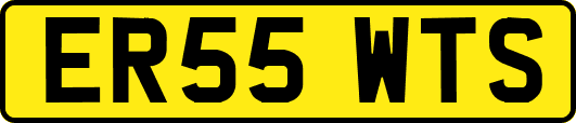 ER55WTS