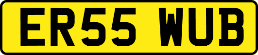 ER55WUB