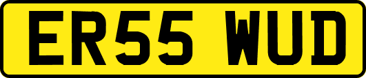ER55WUD