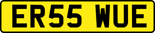 ER55WUE