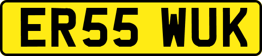 ER55WUK