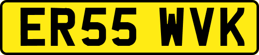 ER55WVK