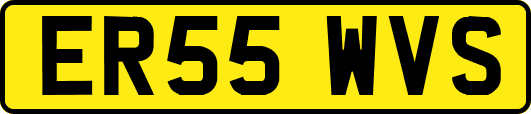 ER55WVS