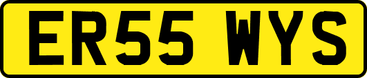ER55WYS
