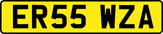 ER55WZA