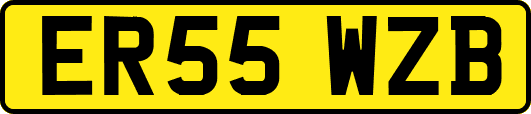 ER55WZB