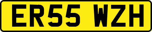 ER55WZH