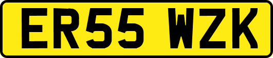 ER55WZK