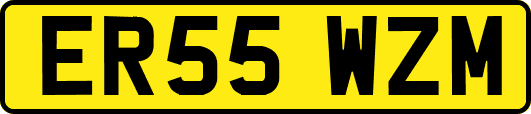 ER55WZM